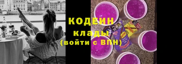 гашик Новозыбков