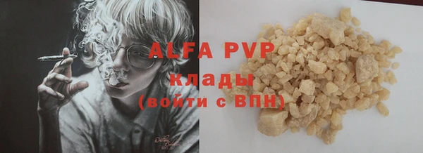 гашик Новозыбков