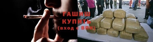 гашик Новозыбков