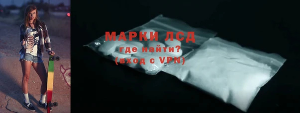 гашик Новозыбков