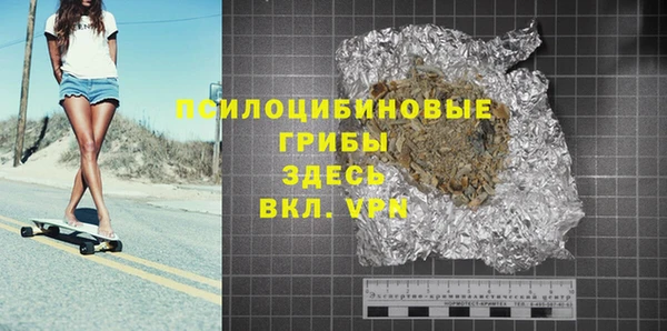 гашик Новозыбков