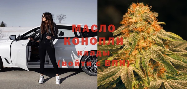 гашик Новозыбков