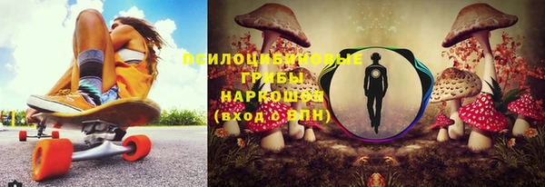 a pvp Новокубанск