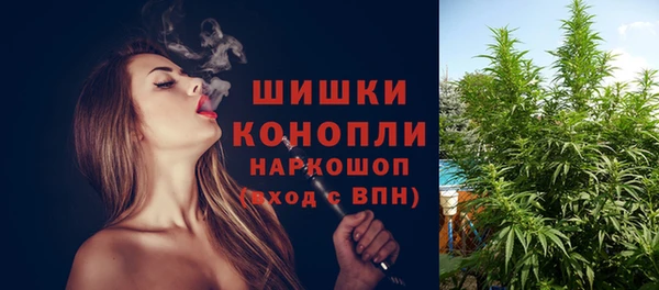 гашик Новозыбков