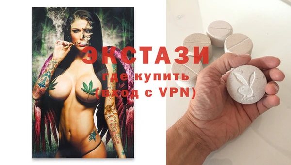гашик Новозыбков