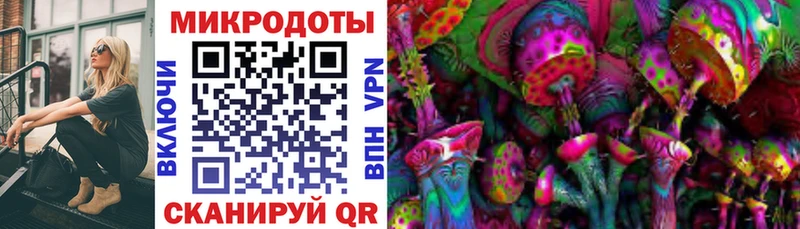 Псилоцибиновые грибы Cubensis продажа наркотиков Азов
