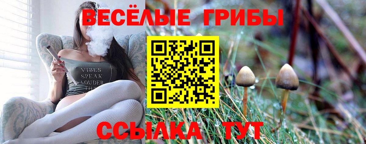 Галлюциногенные грибы Magic Shrooms  продажа наркотиков  Азов  Вход с VPN 